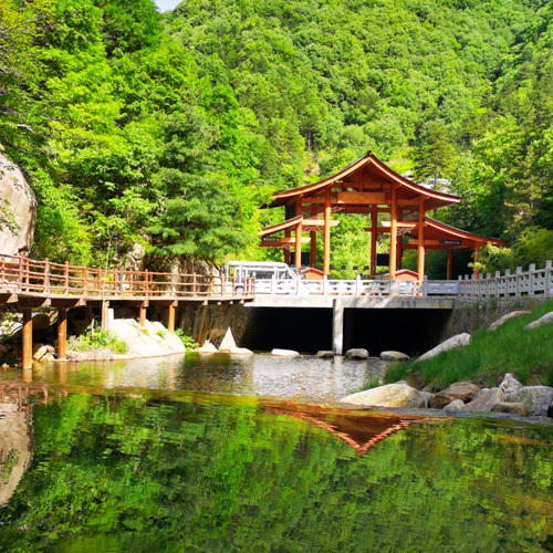 旅遊 旅遊